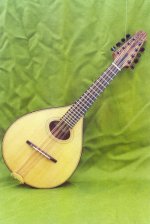 mandolina 1.jpg