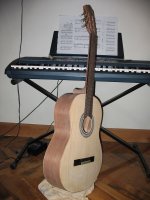 guitarra 2.jpg