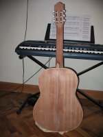 guitarra 3.jpg