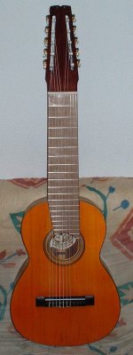 Guitarra 10 cuerdas 3.JPG
