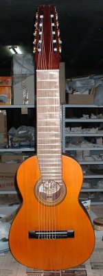 Guitarra 10 cuerdas 4.JPG