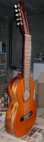 Guitarra 10 cuerdas 5.JPG