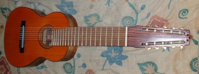 Guitarra 10 cuerdas 8.JPG