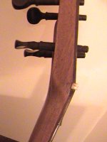 DSC01247.JPG