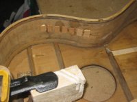 jesito 38 034 (320 x 240).jpg