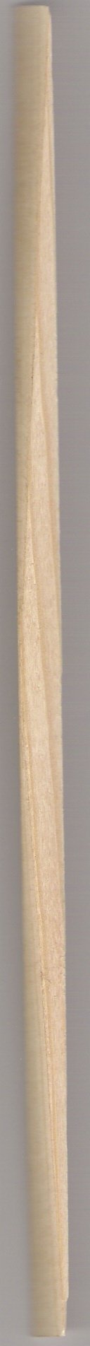 barretta santos.jpg