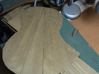 DSC00455.JPG