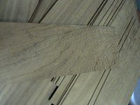 DSC00457.JPG