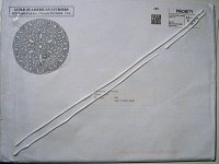 2011_A80_8880_2g_cola.jpg