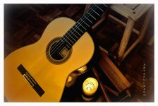 guitarra jose farinha foto concurso artepulsado.jpg