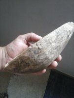 CAM00041.jpg