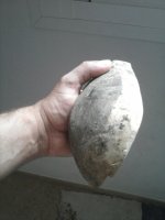 CAM00036.jpg