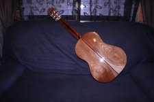 IMG_5373.jpg