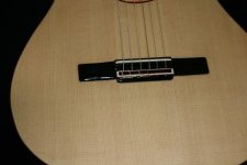 IMG_5367.jpg