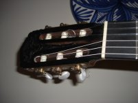 CIMG0011.jpg