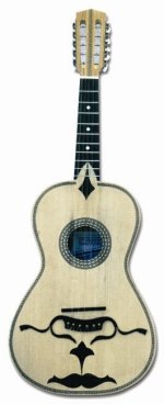 Violabraguesa.jpg