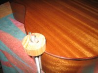 IMG_7651.jpg