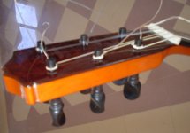 clavijero.JPG