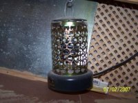 Lorito - Editada.jpg