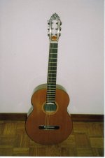 guitarra cedro fibra.jpg