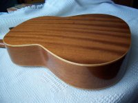 100_2017 (Custom).jpg