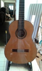 guitarra palo escrito.jpg