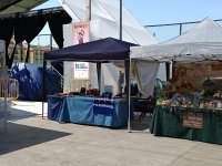 IMG_20250706_112223.jpg