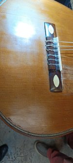 IMG_20260921_163813.jpg